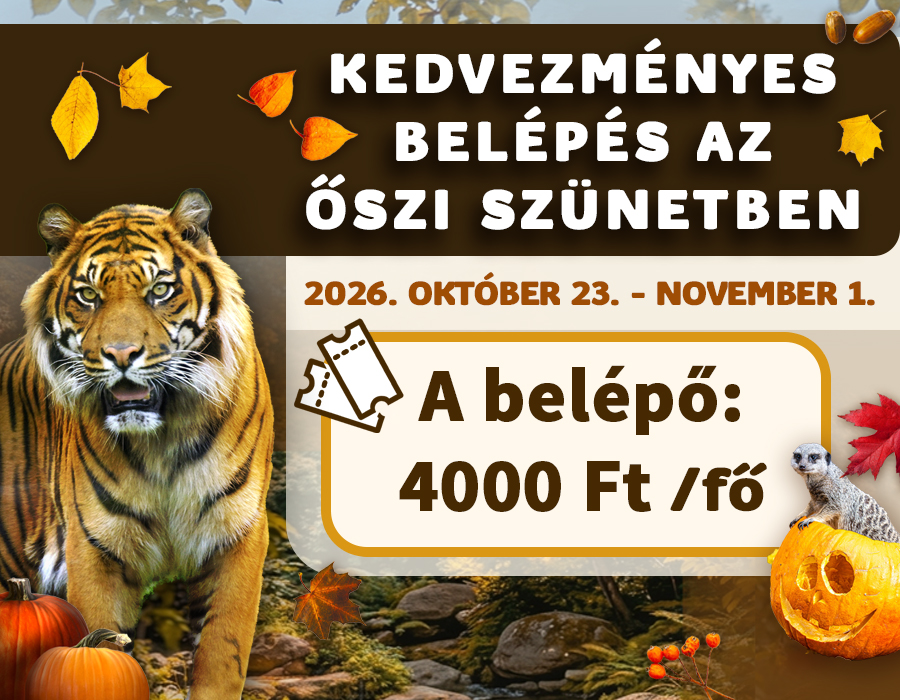 Kedvezményes belépés az őszi szünetben