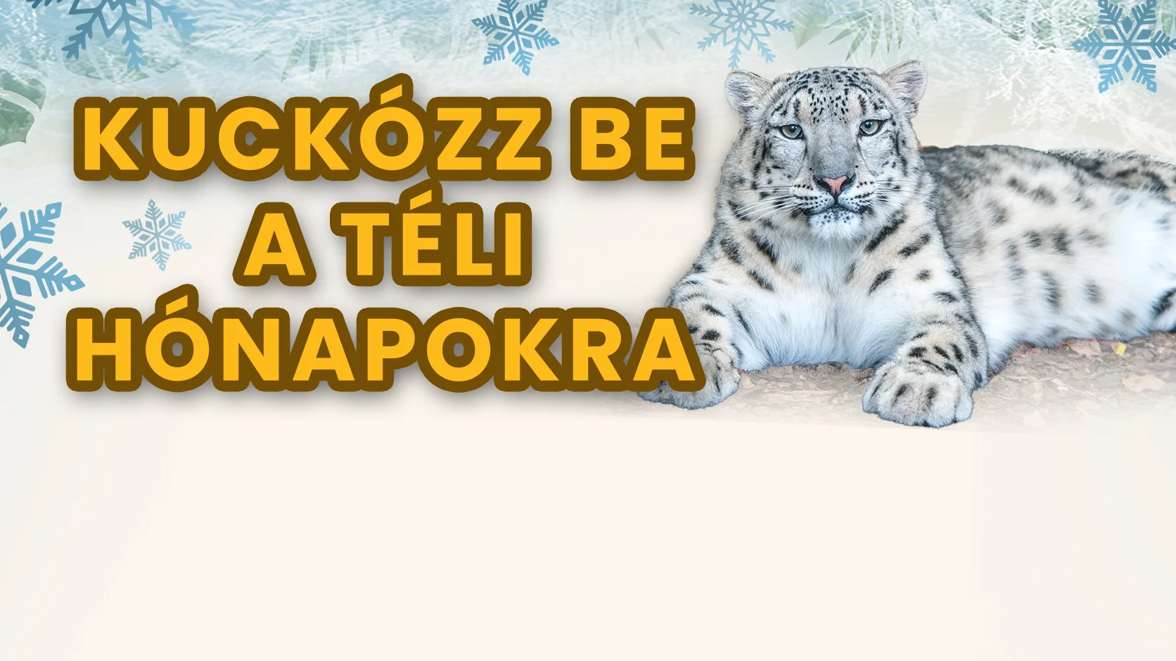 Kuckózz be a téli hónapokra!