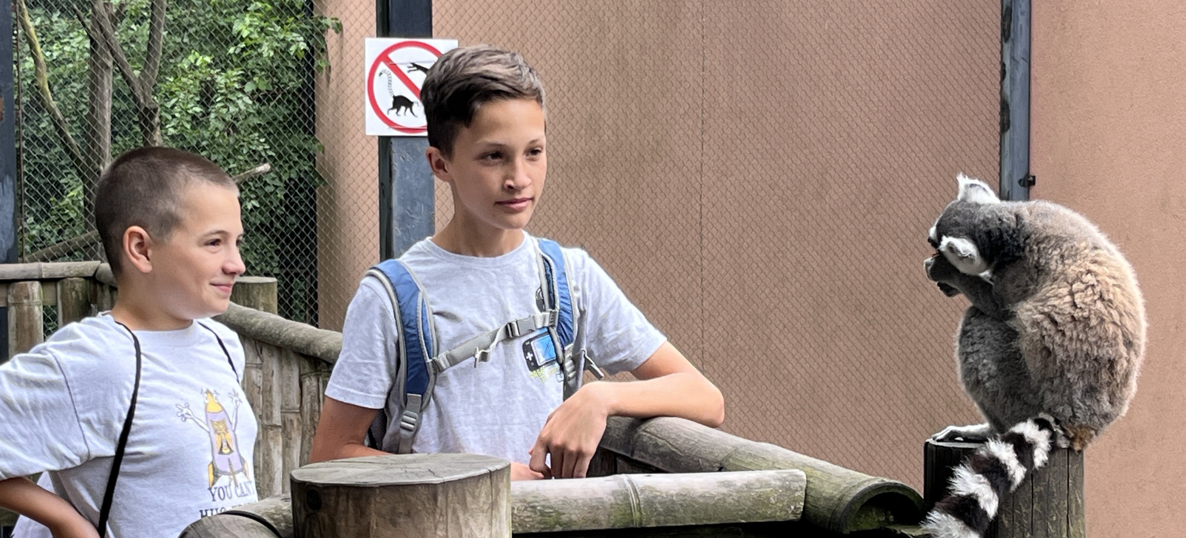 Maki Erdő