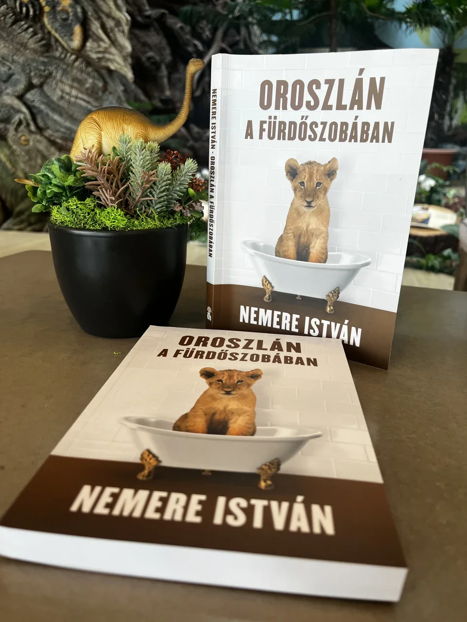Oroszlán a fürdőszobában könyv